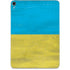 Ukraine Flag Distressed Apple iPad Pro Skin