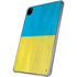 Ukraine Flag Distressed iPad Pro 11in (2024) Clear Case