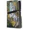 Unicorn of the Willow by Ed Beard Jr PS5 Pro Disk Console Skin
