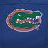University of Florida Blue Jersey iPhone XR Skin