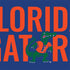 University of Florida Gators Nintendo 2DS XL (2017) Skin
