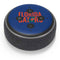 University of Florida Gators Amazon Echo Dot Skin