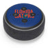 University of Florida Gators Amazon Echo Dot Skin