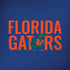 University of Florida Gators Amazon Echo Skin
