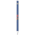 University of Florida Gators Apple Pencil (1st Gen, 2017) Skin