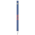 University of Florida Gators Apple Pencil (1st Gen, 2017) Skin