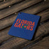 University of Florida Gators Apple iPad Pro Skin