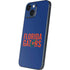 University of Florida Gators iPhone 13 Mini Skin