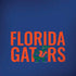 University of Florida Gators iPhone X Skin