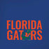 University of Florida Gators iPhone XR Skin