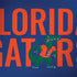 University of Florida Gators Dell Latitude Skin