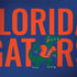 University of Florida Gators Apple MacBook Pro 15-inch Skin