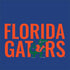 University of Florida Gators Otterbox Commuter Galaxy Skin
