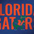 University of Florida Gators PlayStation 4 Gold Wireless Headset Skin