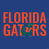 University of Florida Gators PS4 Slim Skin
