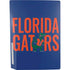 University of Florida Gators PS5 Bundle Skin