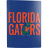 University of Florida Gators PS5 Digital Edition Bundle Skin