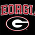 University of Georgia Collegiate Text Dell Latitude Skin