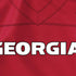 University of Georgia Red Jersey Nintendo 2DS XL (2017) Skin