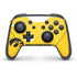 University of Iowa Nintendo Skins