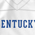 University of Kentucky White Jersey Nintendo 2DS XL (2017) Skin
