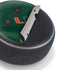 University of Miami Green Jersey Amazon Echo Dot Skin