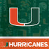 University of Miami U Hurricanes Nintendo 2DS XL (2017) Skin