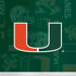 University of Miami U Hurricanes iPhone XS Max Skin
