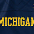 University of Michigan Blue Jersey Nintendo 2DS XL (2017) Skin