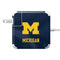 University of Michigan Blue Jersey 85W Power Adapter (15 and 17 inch MacBook Pro Charger) Skin