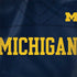 University of Michigan Blue Jersey Dell Latitude Skin