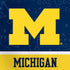 University of Michigan Jersey Split Nintendo 2DS XL (2017) Skin