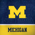 University of Michigan Jersey Split Dell Alienware Skin