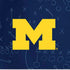 University of Michigan Jersey Split iPhone X Pro Case