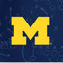 University of Michigan Jersey Split iPhone XR Pro Case