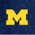 University of Michigan Jersey Split iPhone XR Skin