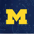 University of Michigan Jersey Split iPhone XS Pro Case