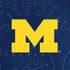 University of Michigan Jersey Split Otterbox Commuter Galaxy Skin