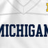University of Michigan White Jersey Nintendo 2DS XL (2017) Skin