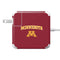 University of Minnesota Collegiate Text 85W Power Adapter (15 and 17 inch MacBook Pro Charger) Skin