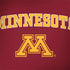 University of Minnesota Collegiate Text PlayStation 4 Gold Wireless Headset Skin