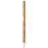 University of Tennessee Orange Jersey Apple Pencil (1st Gen, 2017) Skin