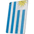 Uraguay Flag Distressed Apple iPad Air Skin