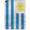 Uraguay Flag Distressed Apple iPad Pro Skin