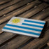 Uraguay Flag Distressed Apple MacBook Air Skin