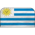 Uraguay Flag Distressed Nintendo Switch 2 (2025) with Joy-Con Skin