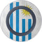 Uraguay Flag Distressed Wireless Charger Skin