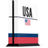 USA American Flag PlayStation PS4 Skins