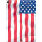 USA Flag Apple iPad Air Skin
