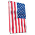USA Flag Apple iPad Skin